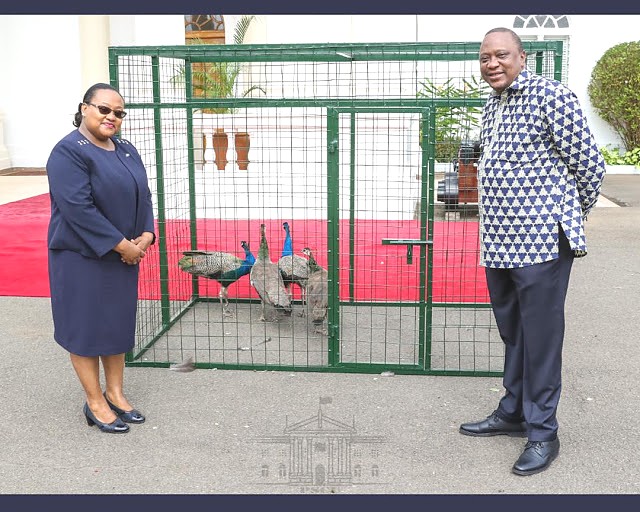 Rais wa Kenya,Mhe. Uhuru Kenyatta akiwa katika picha ya pamoja na Balozi wa Tanzania Nchini Kenya,Balozi Pindi Chana mbele ya Zawadi ya ndege aina ya Tausi mara baada ya kukabidhiwa zawadi hiyo. August 02,2019